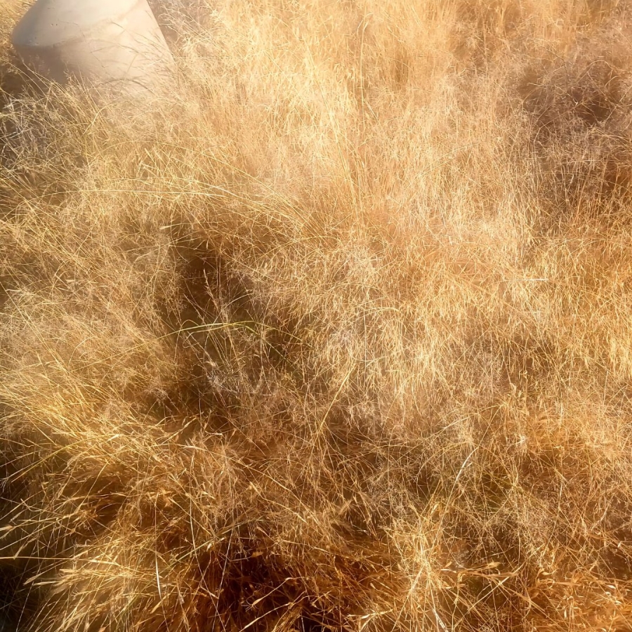 Commercial Property for Sale in Reivilo Northern Cape